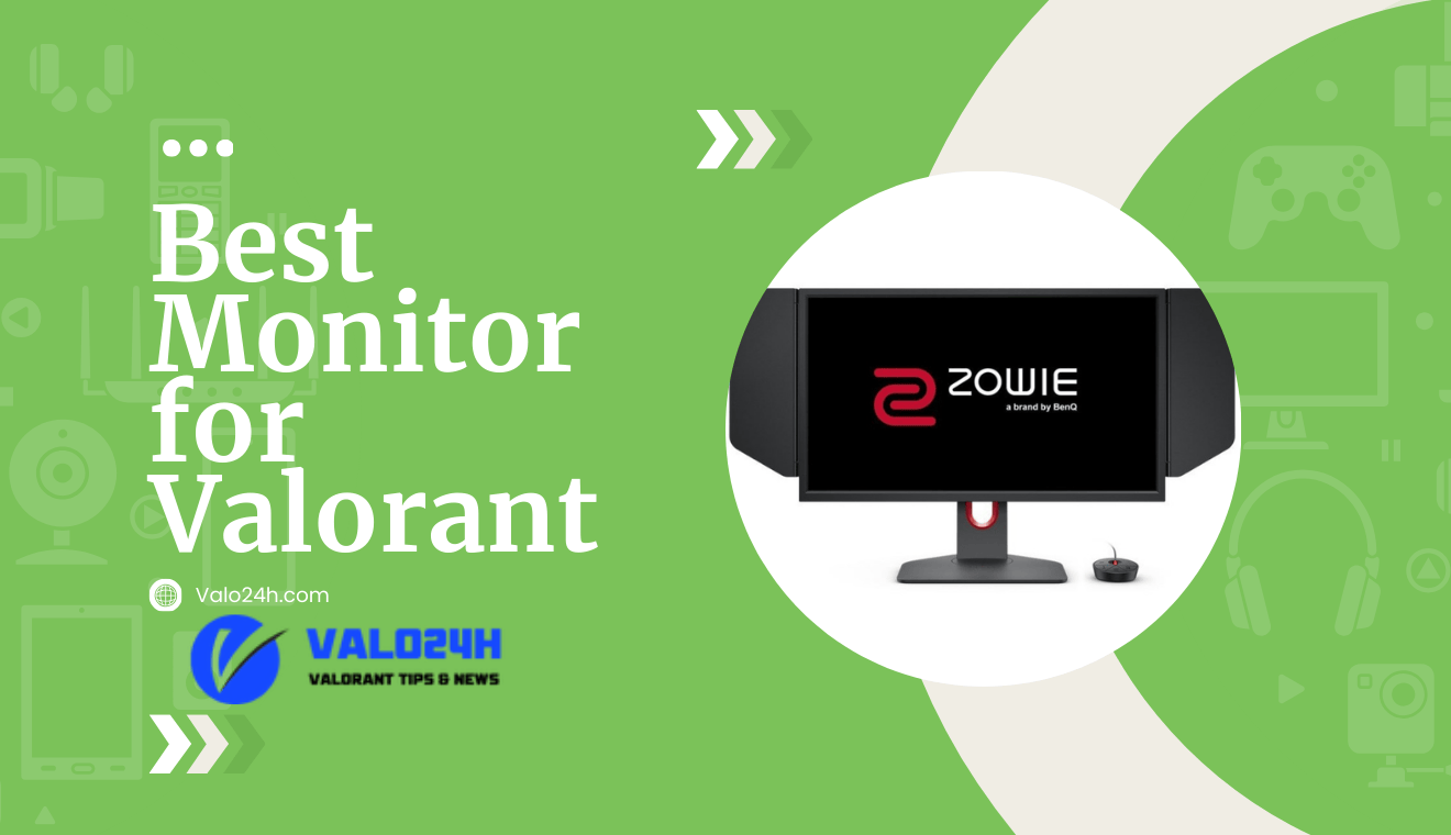 Best Monitor for Valorant