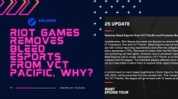 Riot Games Removes Bleed Esports from VCT Pacific, Why?